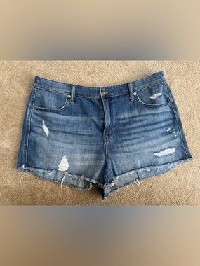 Aerie Sz L Light Blue Distressed Denim Jean Shorts